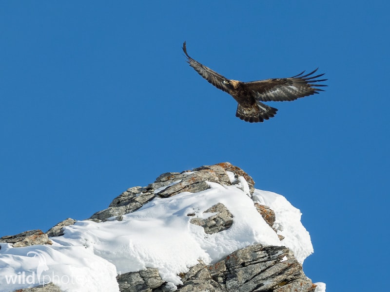 Bild des Monats NOVEMBER